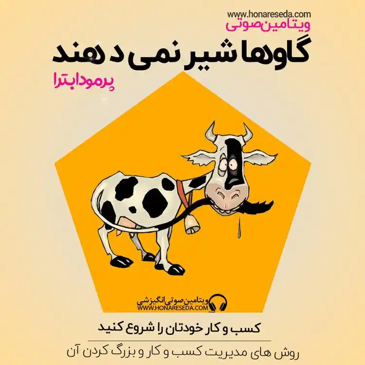گاو ها شیر نمی دهند