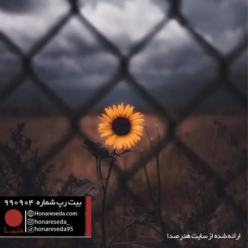 بیت عاشقانه 990904