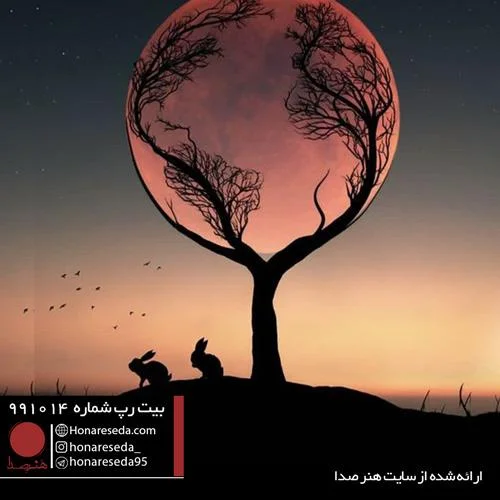 بیت شاد 991014