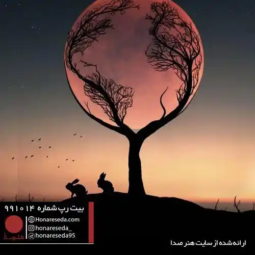 بیت شاد 991014