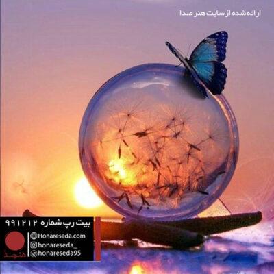 بیت ملایم 991212