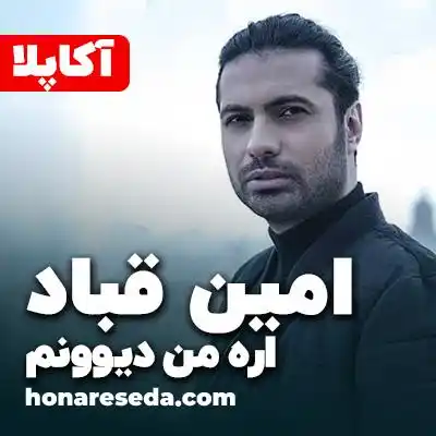 امین قباد - اره من دیوونم