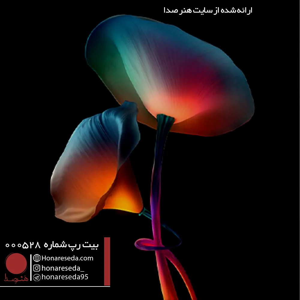 بیت ترپ 000528