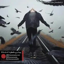 بیت ترپ 990802
