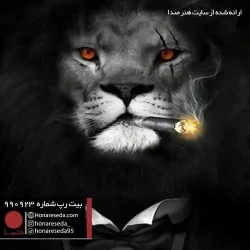 بیت دیس 990923